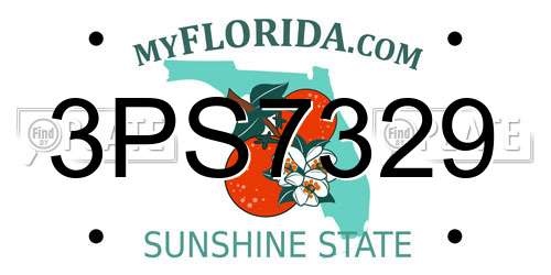 3PS7329 Florida License Plate