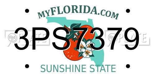 3PS7379 Florida License Plate
