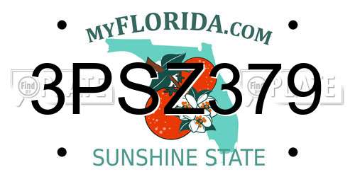 3PSZ379 Florida License Plate