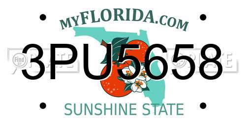 3PU5658 Florida License Plate