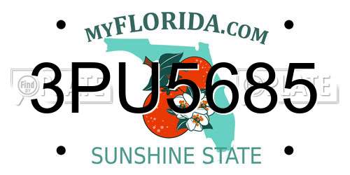 3PU5685 Florida License Plate
