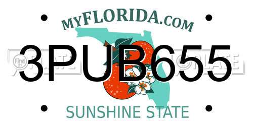 3PUB655 Florida License Plate
