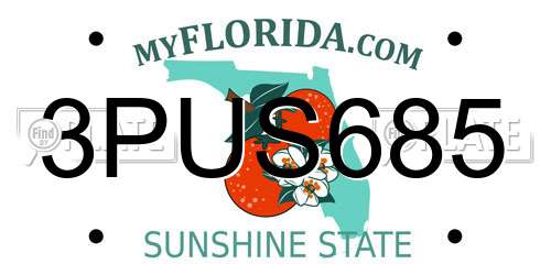 3PUS685 Florida License Plate
