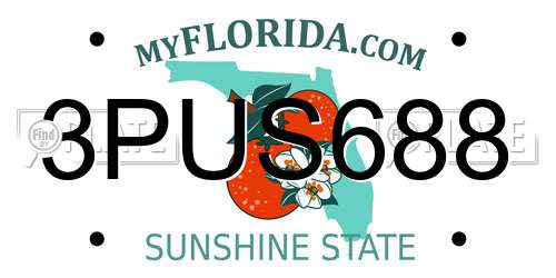3PUS688 Florida License Plate