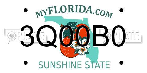 3Q00B0 Florida License Plate