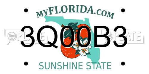 3Q00B3 Florida License Plate