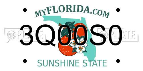 3Q00S0 Florida License Plate