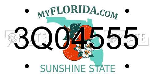 3Q04555 Florida License Plate
