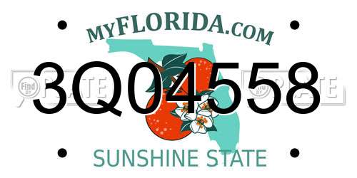 3Q04558 Florida License Plate