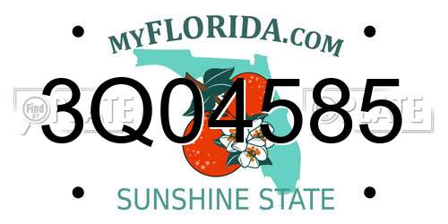 3Q04585 Florida License Plate