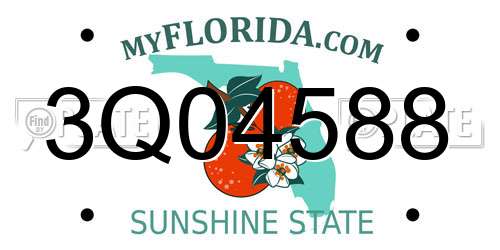 3Q04588 Florida License Plate