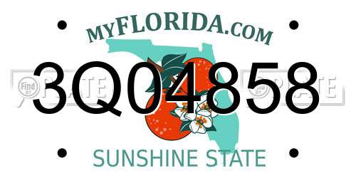 3Q04858 Florida License Plate