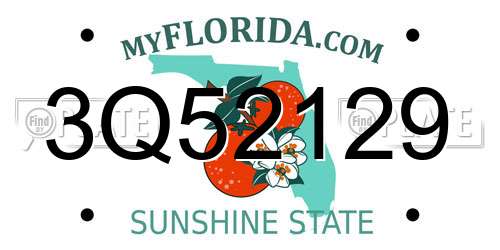 3Q52129 Florida License Plate