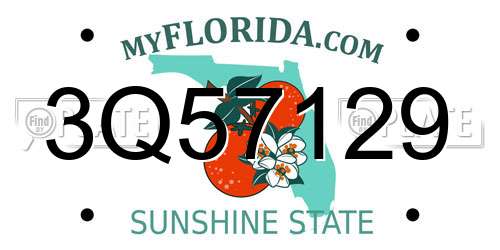 3Q57129 Florida License Plate