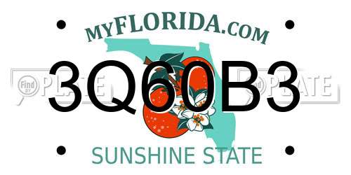 3Q60B3 Florida License Plate