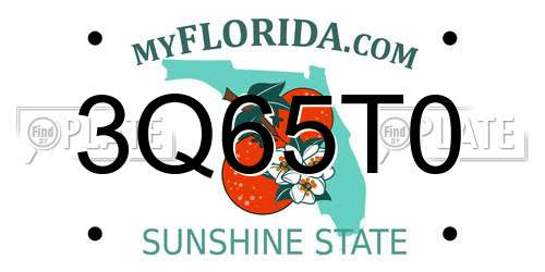 3Q65T0 Florida License Plate