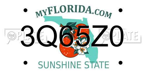 3Q65Z0 Florida License Plate