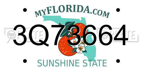 3Q73664 Florida License Plate