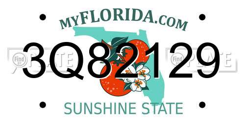 3Q82129 Florida License Plate