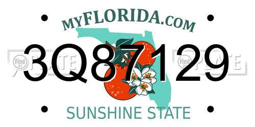 3Q87129 Florida License Plate