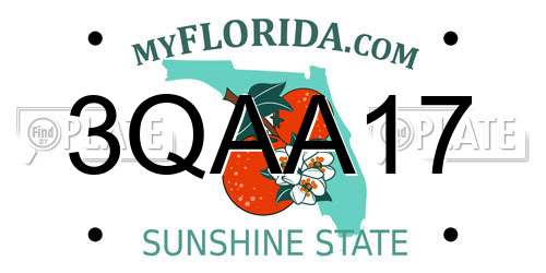 3QAA17 Florida License Plate