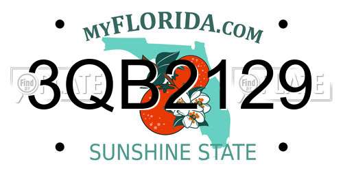 3QB2129 Florida License Plate