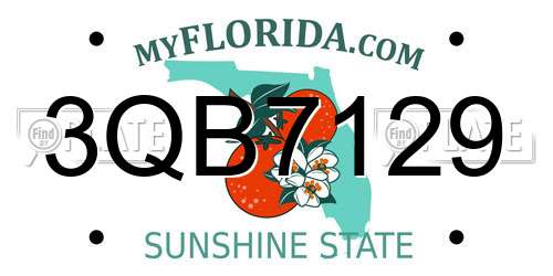 3QB7129 Florida License Plate