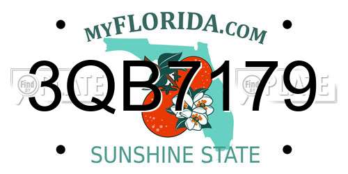 3QB7179 Florida License Plate