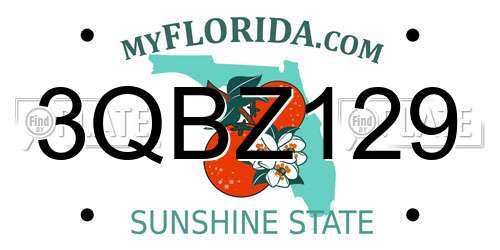 3QBZ129 Florida License Plate