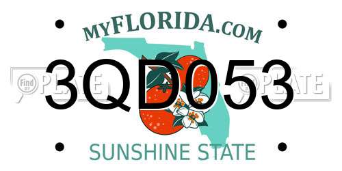 3QD053 Florida License Plate
