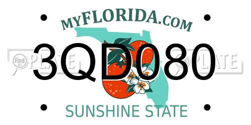 3QD080 Florida License Plate