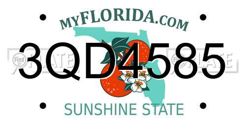 3QD4585 Florida License Plate