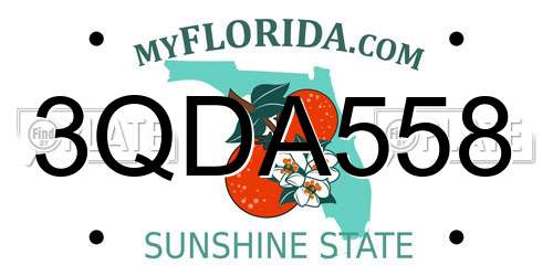 3QDA558 Florida License Plate