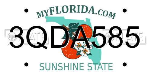 3QDA585 Florida License Plate