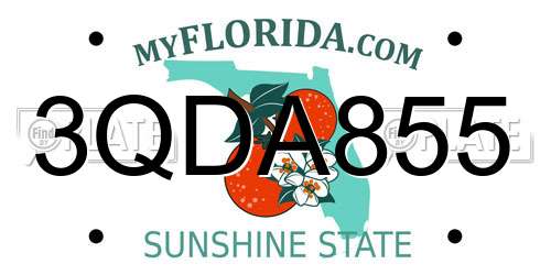 3QDA855 Florida License Plate