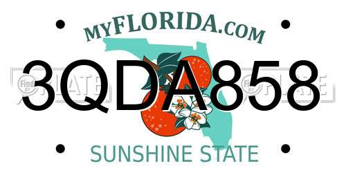 3QDA858 Florida License Plate