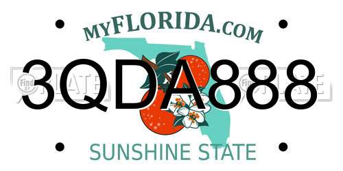 3QDA888 Florida License Plate