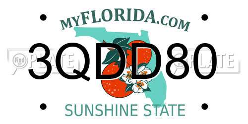 3QDD80 Florida License Plate
