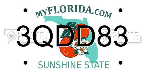 3QDD83 Florida License Plate