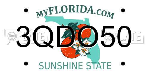3QDO50 Florida License Plate