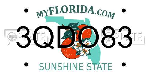 3QDO83 Florida License Plate