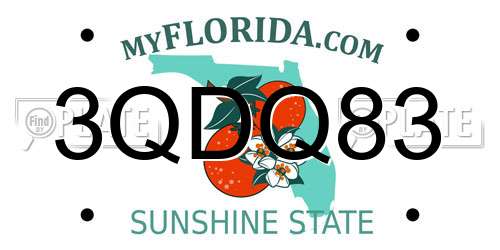 3QDQ83 Florida License Plate
