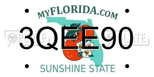3QEE90 Florida License Plate