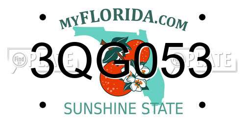 3QG053 Florida License Plate