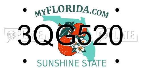 3QG520 Florida License Plate