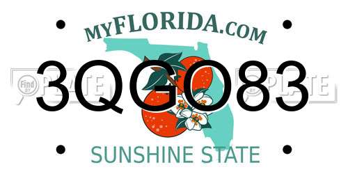 3QGO83 Florida License Plate