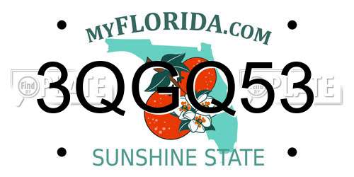 3QGQ53 Florida License Plate