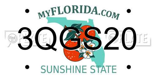 3QGS20 Florida License Plate