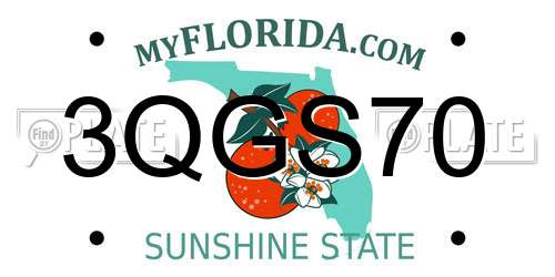 3QGS70 Florida License Plate