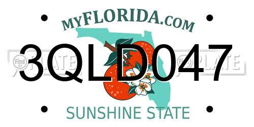 3QLD047 Florida License Plate